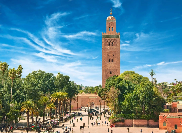 activities to do in Marrakech