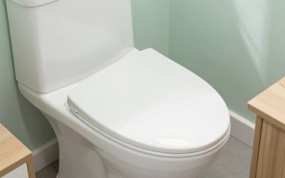 Best RV Toilets in 2026: Gravity, Porcelain and Foot-Flush