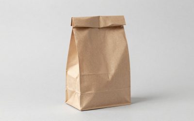 Best Small Lunch Bags for Work, School and Day Trips